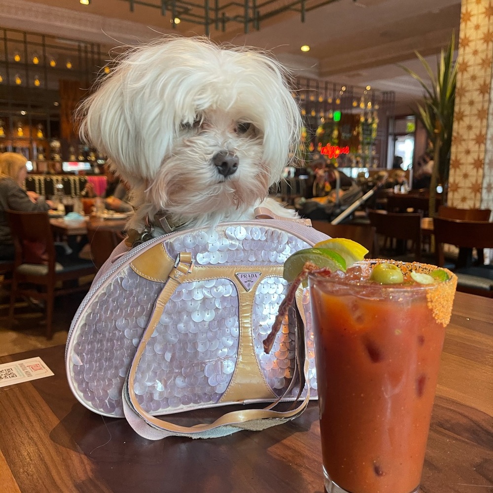 Meet your Posher, Amber